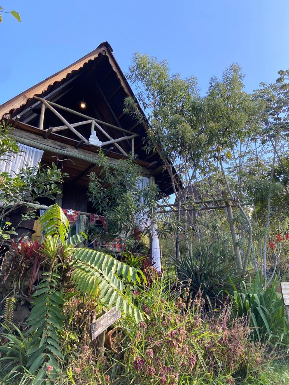 Cabana Aroeira - Reserva Religare Ітатіая Номер фото